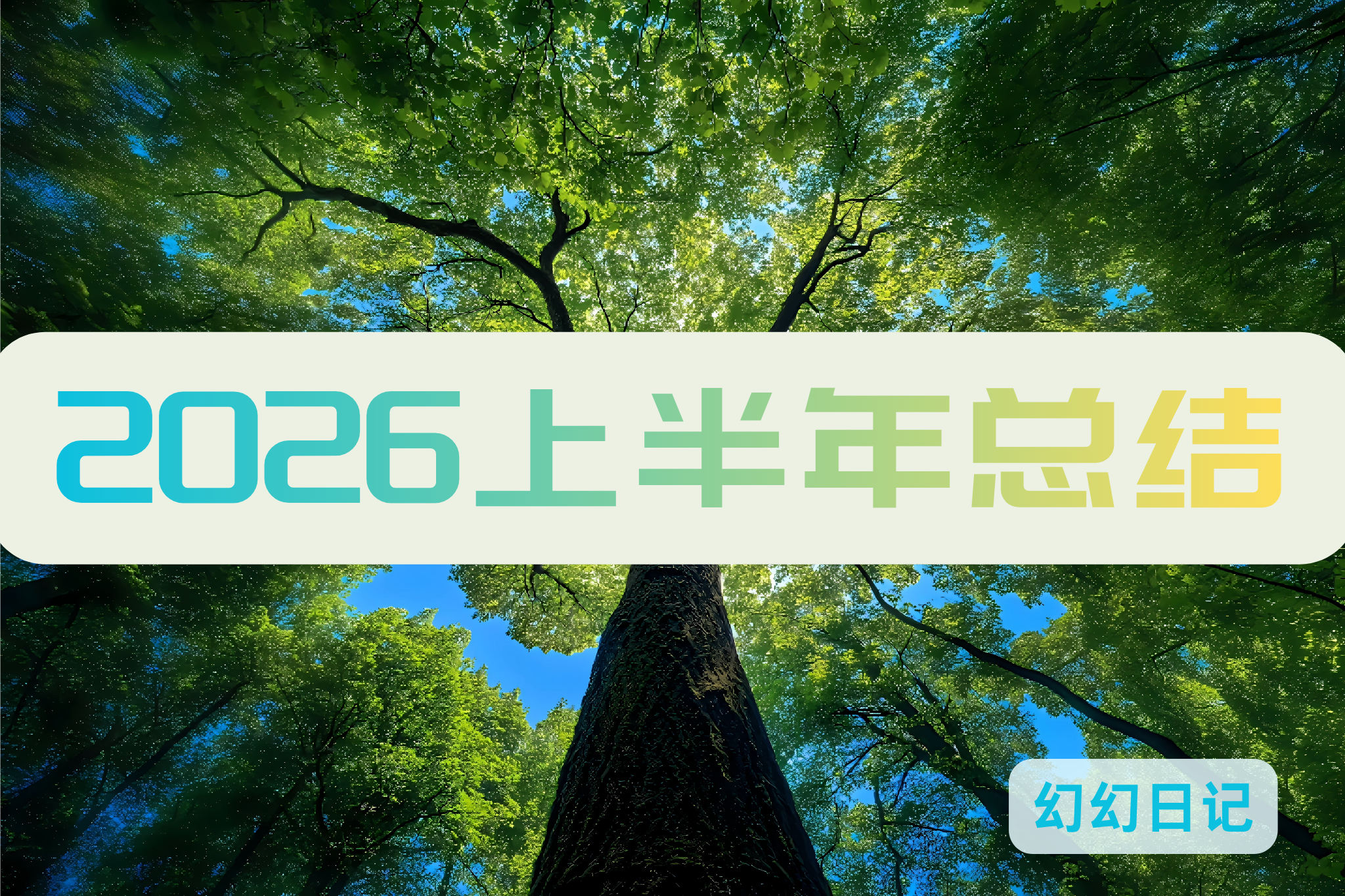 2026上半年总结